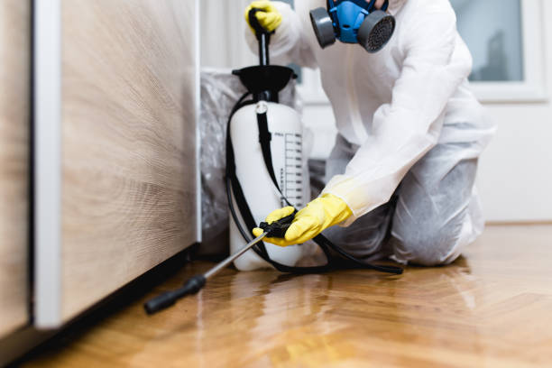 Best Cockroach Control Services  in Warrenton, VA