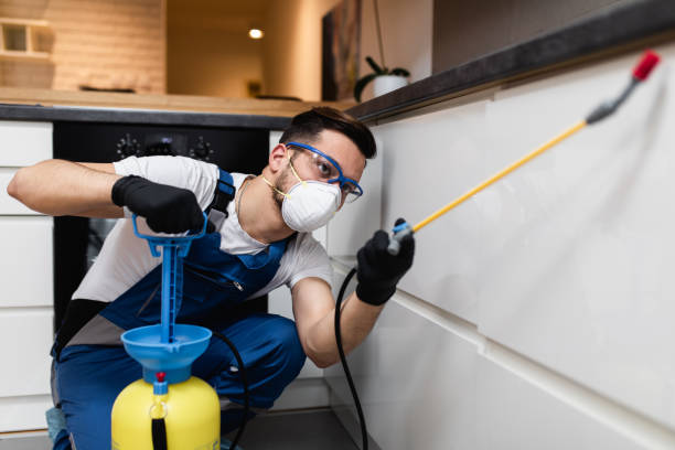 Best Residential Pest Control  in Warrenton, VA