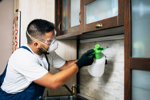 Flea Control Services in Warrenton, VA