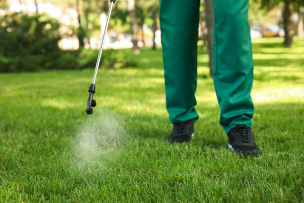 Best Pest Inspection Near Me  in Warrenton, VA