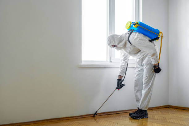Best Wasp Removal Services  in Warrenton, VA