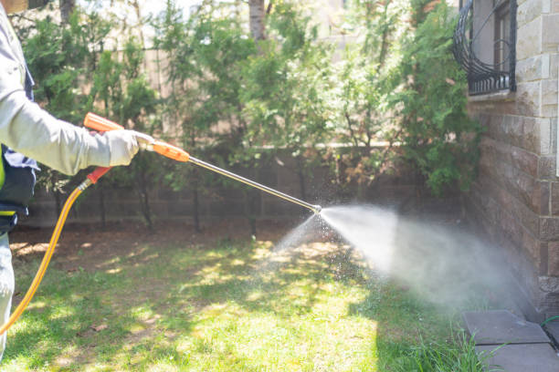 Best Affordable Pest Control Services  in Warrenton, VA