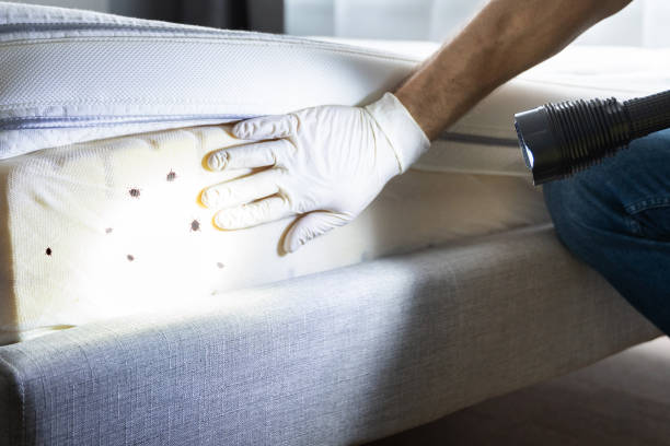 Best Insect Control  in Warrenton, VA