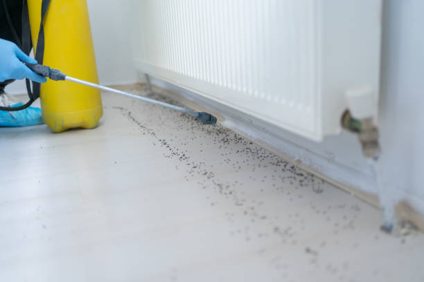 Best Affordable Pest Control Services  in Warrenton, VA